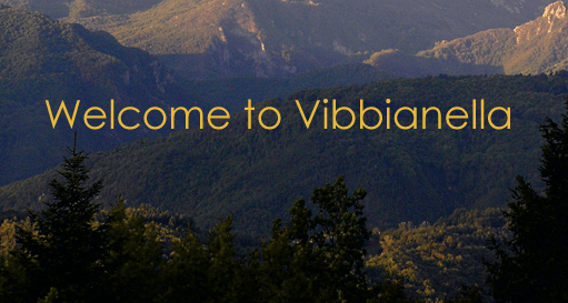 About Casa Vibbianella